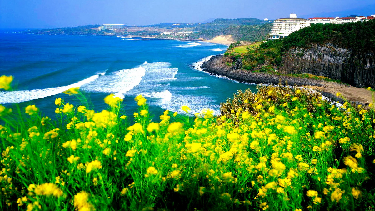 TOUR HÀN QUỐC ĐẶC BIỆT NHẤT 2025 TỪ HÀ NỘI- TP HCM - SEOUL- ĐẢO JEJU- DU THUYỀN ĐẢO UDO- ECO LAND THEME PARK JEJU-BÃI BIỂN HAMDEOK- HONGDEA STREET- ĐẢO NAMI 6N5Đ NHỮNG HÒN ĐẢO CHẮP CÁNH TÌNH YÊU 
