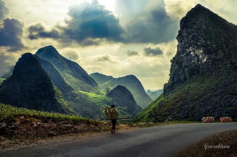 HÀ NÔI -HÀ GIANG MÙA HOA TAM GIÁC MẠCH 